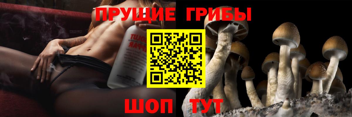 Киреевск  где найти   Вход с VPN  Галлюциногенные грибы MAGIC MUSHROOMS 